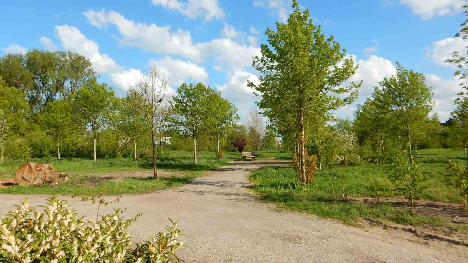 Natuurbegrafenis