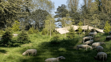 Uitvaartverzorging-Den-Haag-Natuurbegraafplaats-Hofwijk